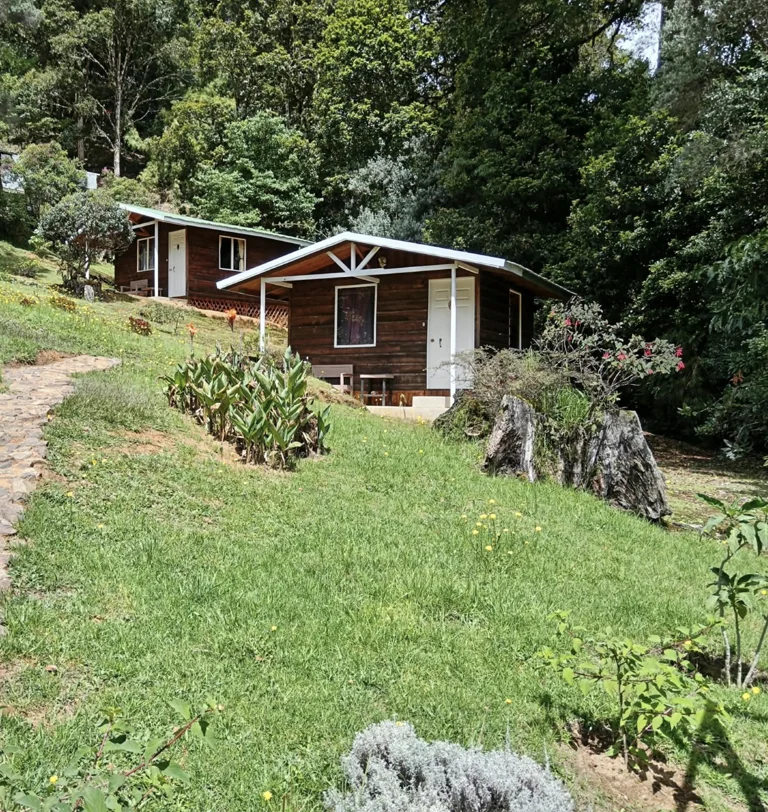 Renovated wooden lodges and their garden paths
